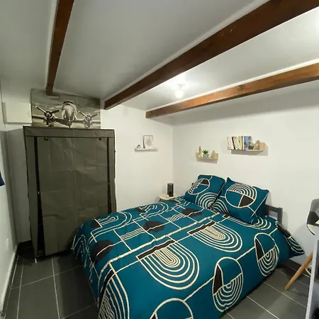 Appartement 20 Min Aeroport Cdg Othis